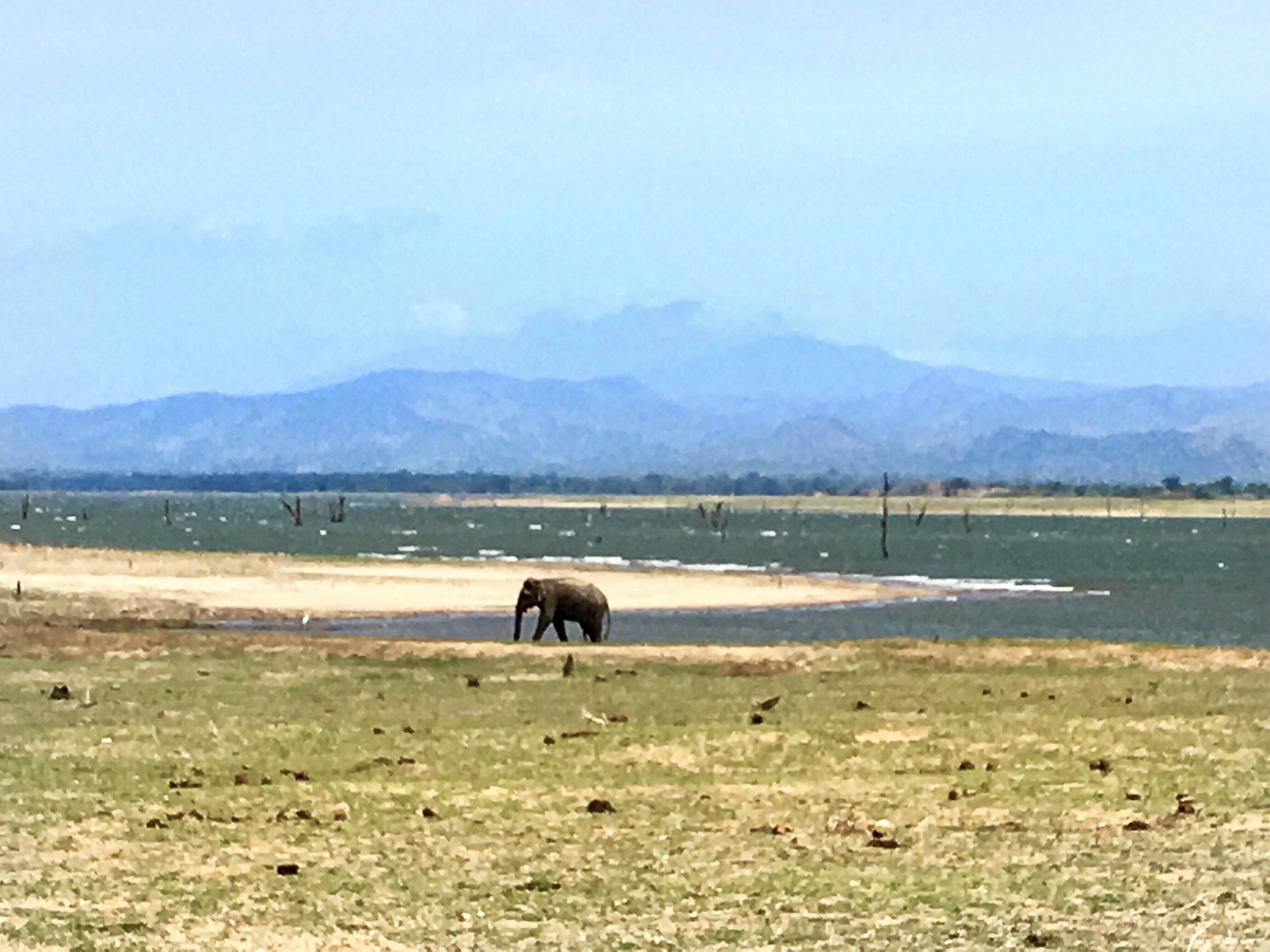 Sri Lanka, safari in Udawalawe, beautiful places