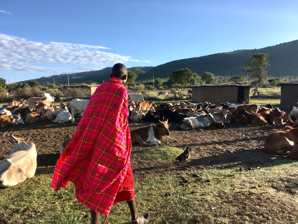 Kenya, Maasai Mara, Maasai village